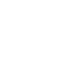 Logo-Icon